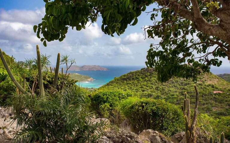 The view from WV ECG, Gouverneur, St. Barthelemy